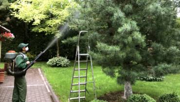 Обработка сада ?